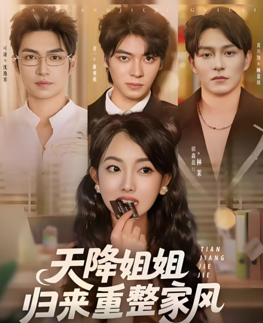 天降姐姐归来重整家风封面图