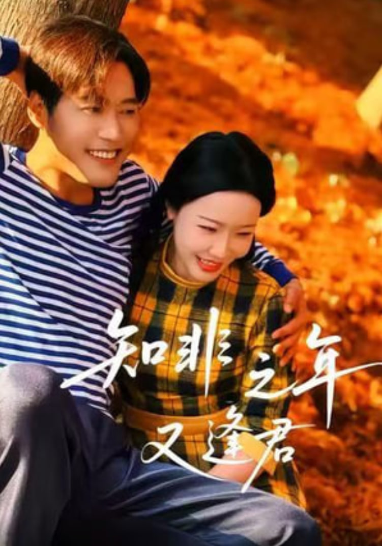 知非之年又逢君封面图