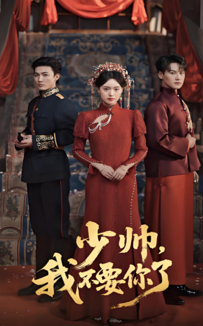 少帅我不要你了封面图