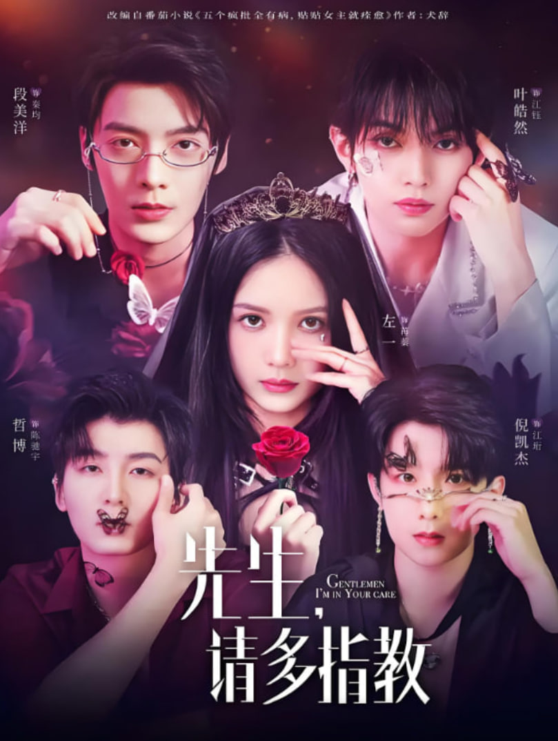 先生请多指教封面图