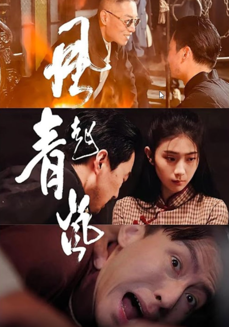 风起青岚封面图