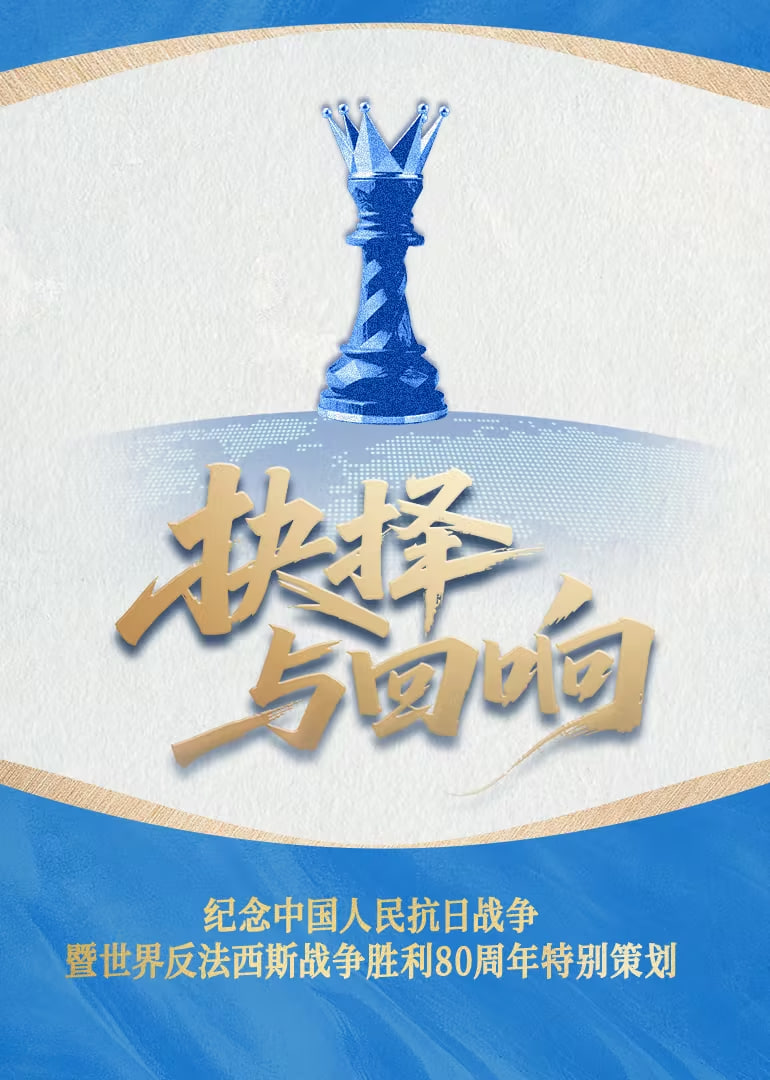 抉择与回响封面图