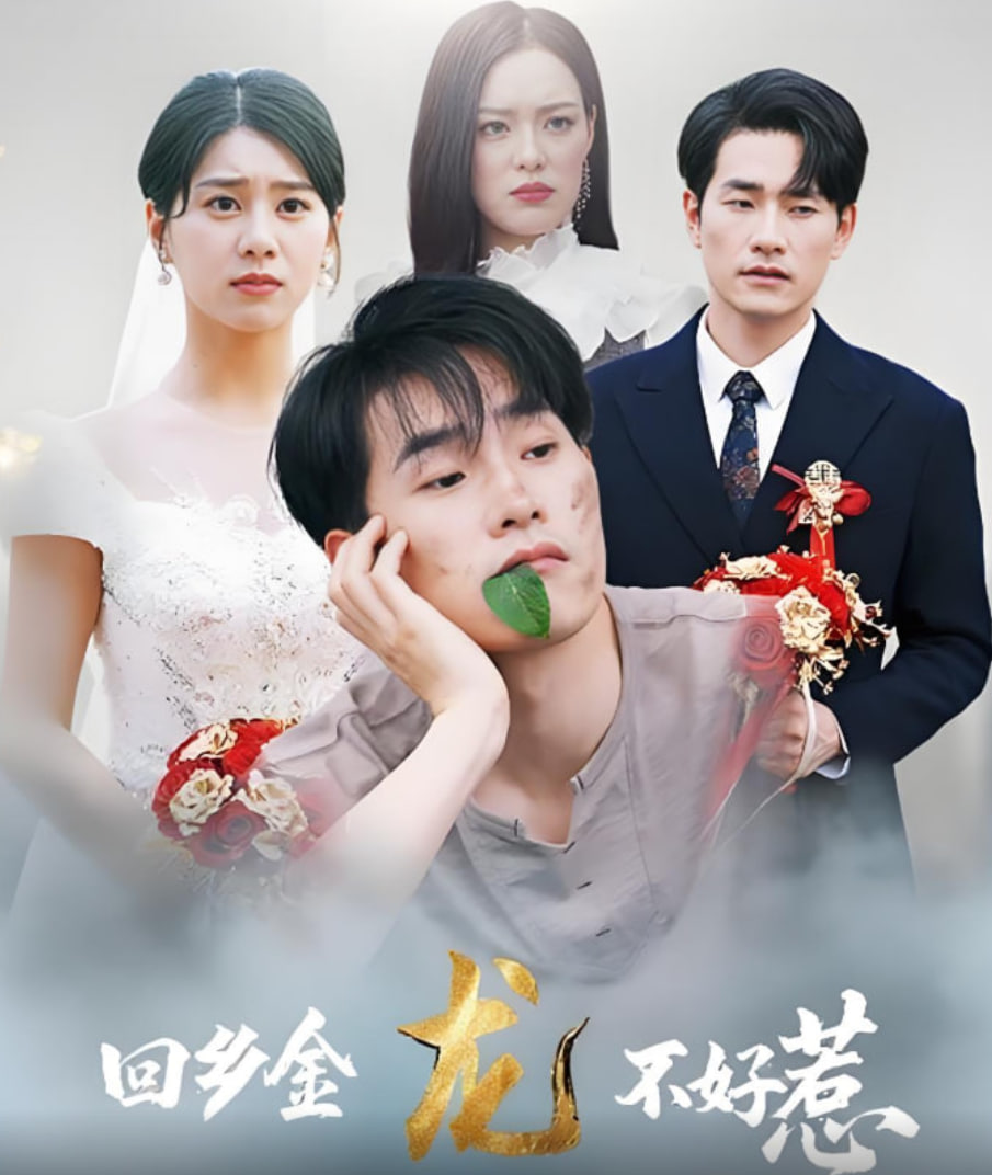 回乡金龙不好惹封面图