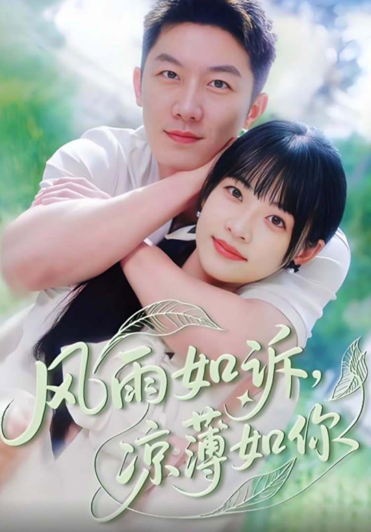 风雨如诉凉薄如你封面图