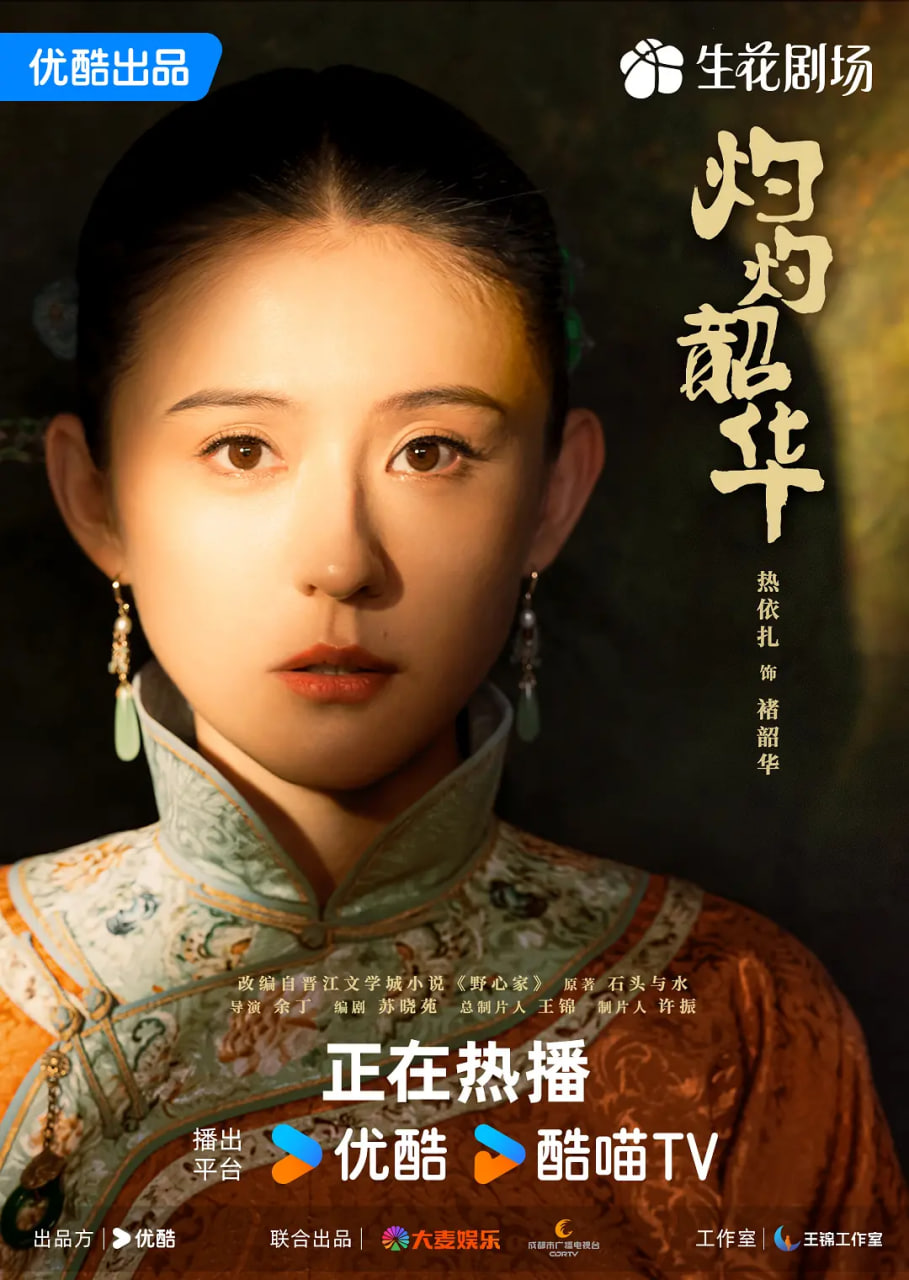 灼灼韶华封面图