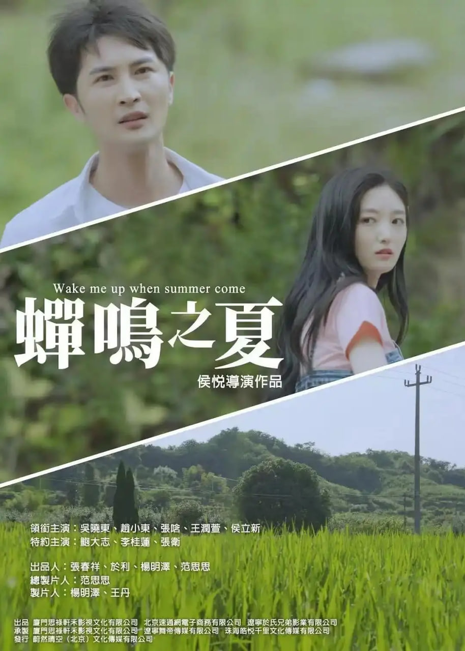 蝉鸣之夏封面图