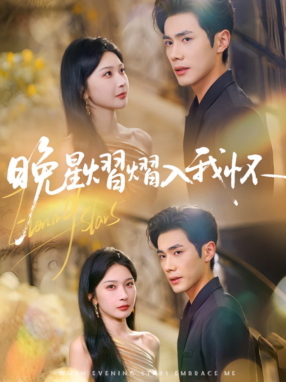 晚星熠熠入我怀封面图