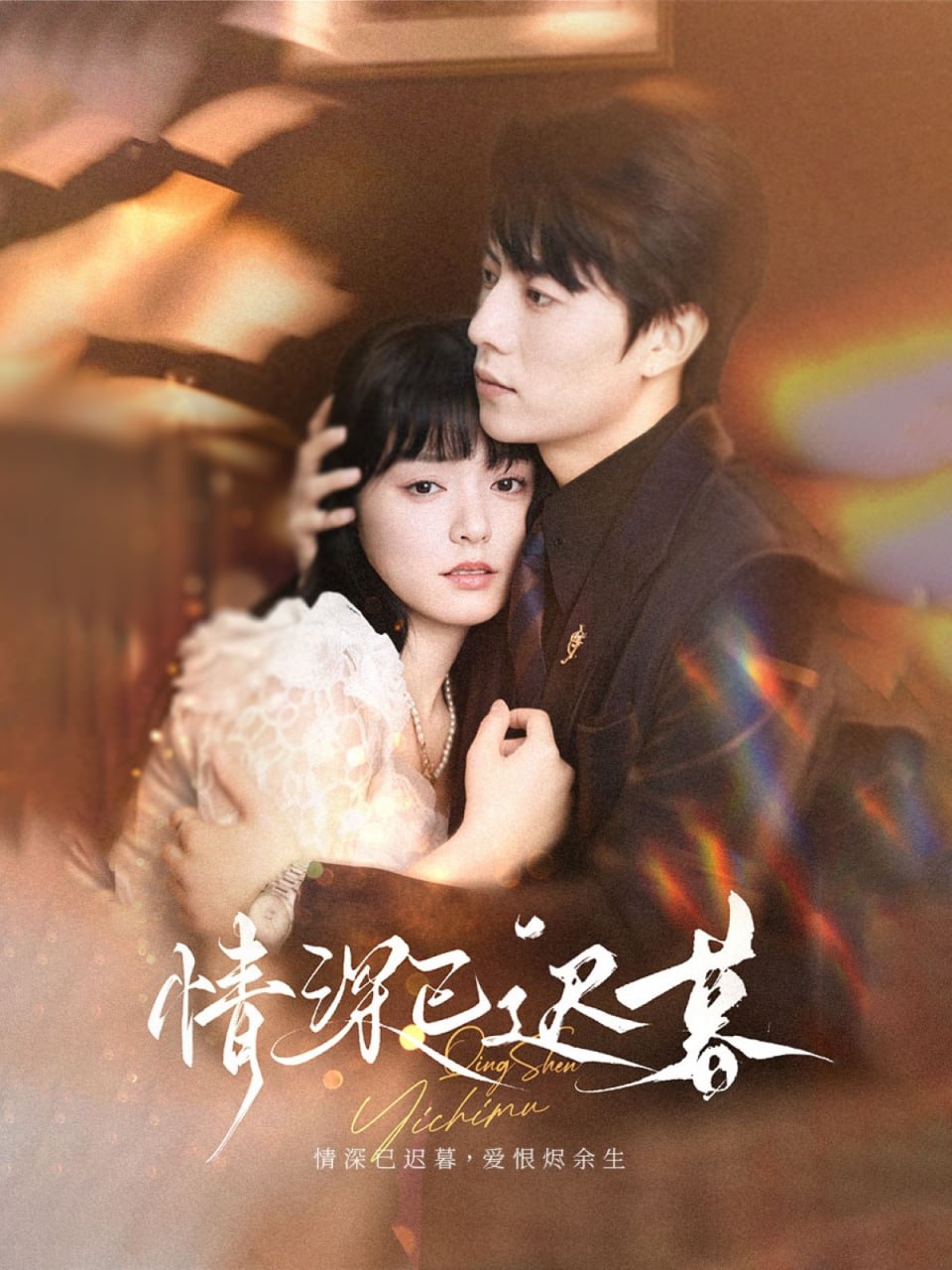 情深已迟暮封面图