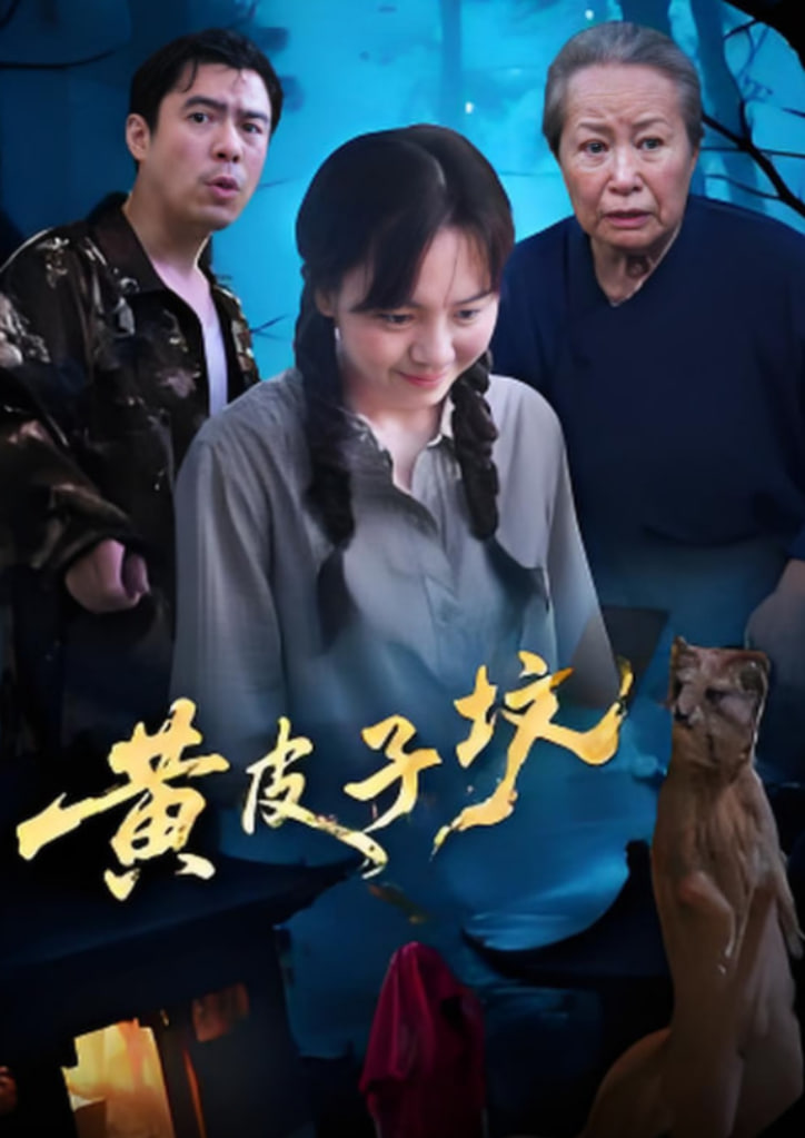 黄皮子坟封面图