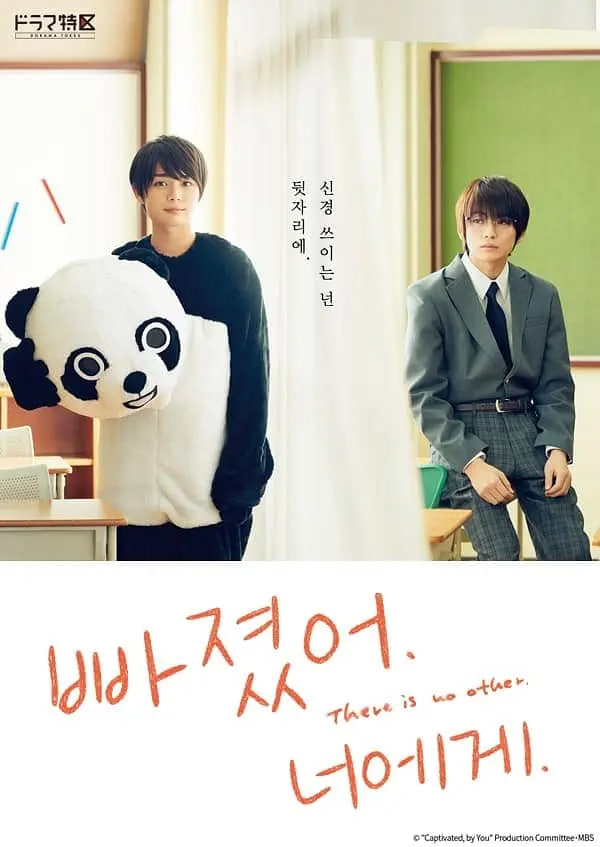 对你着迷封面图