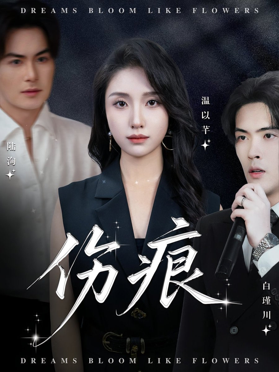 伤痕 2025封面图