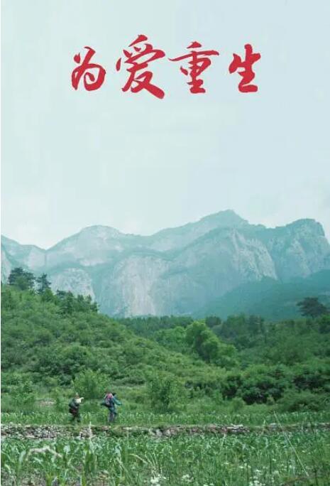 为爱重生封面图