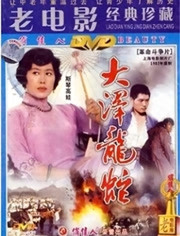 大泽龙蛇封面图