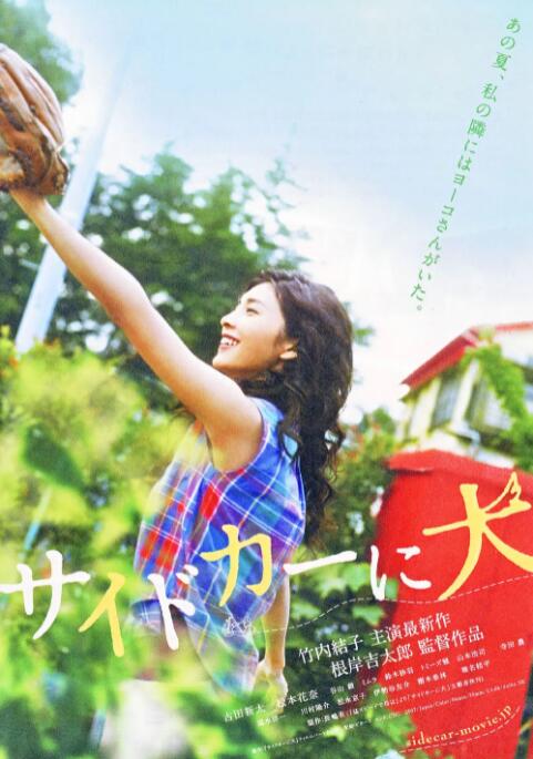 挎斗摩托车里的狗封面图