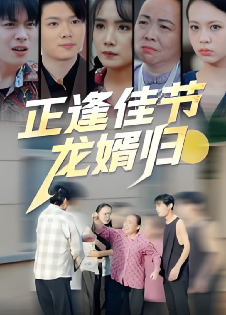 正逢佳节龙婿归封面图