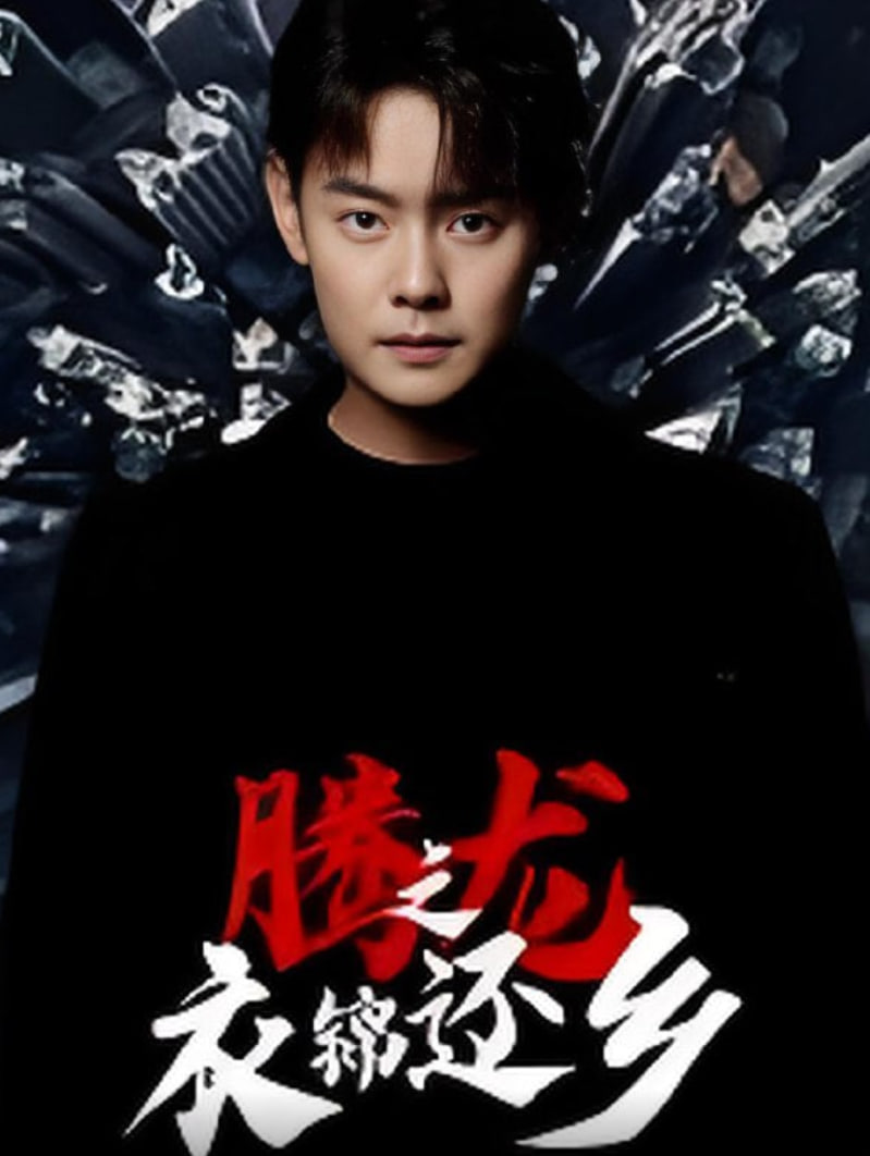 腾龙之衣锦还乡封面图