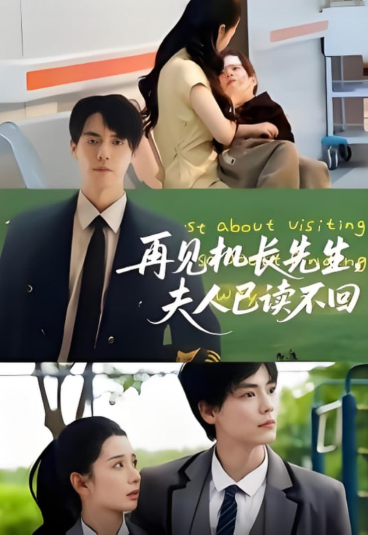 再见机长先生夫人已读不回封面图