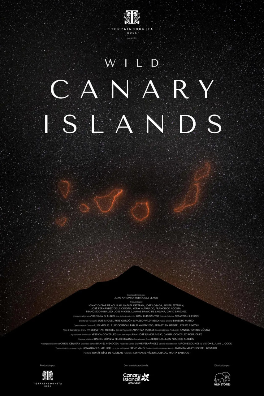 加那利群岛封面图