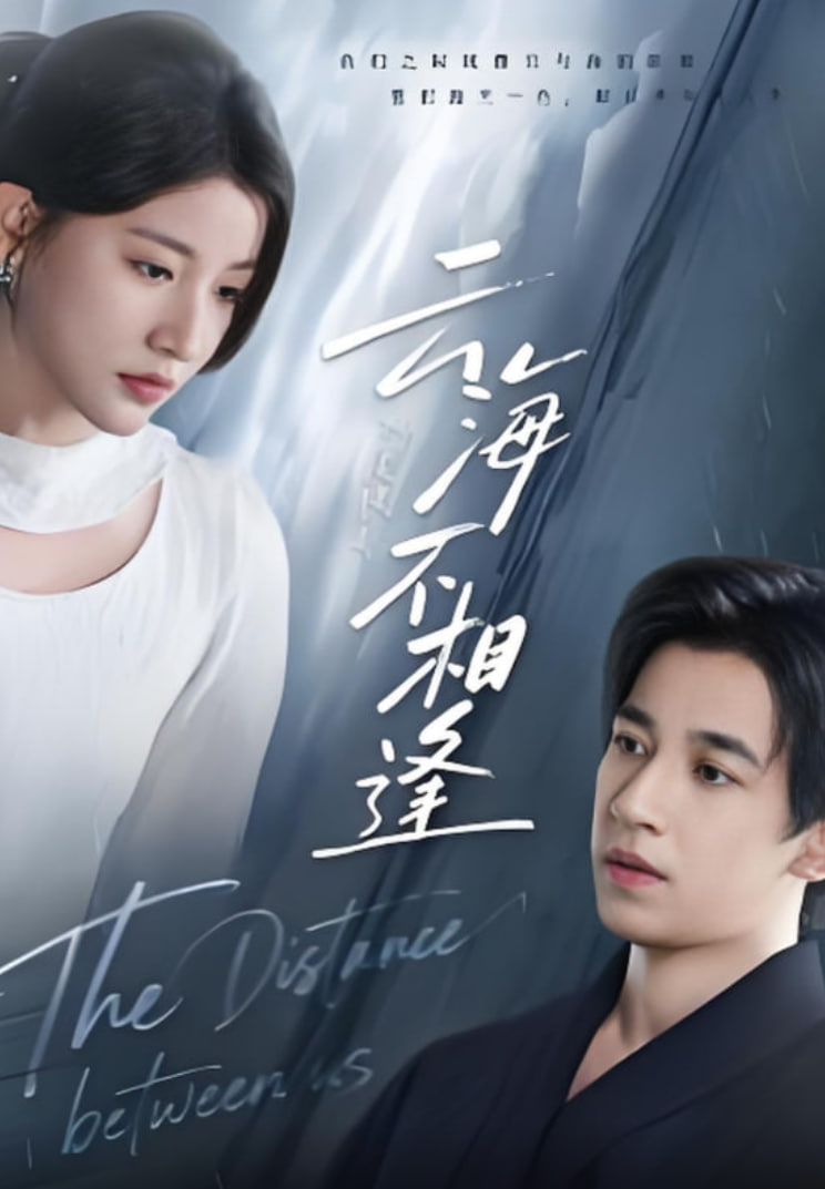 云海不相逢封面图