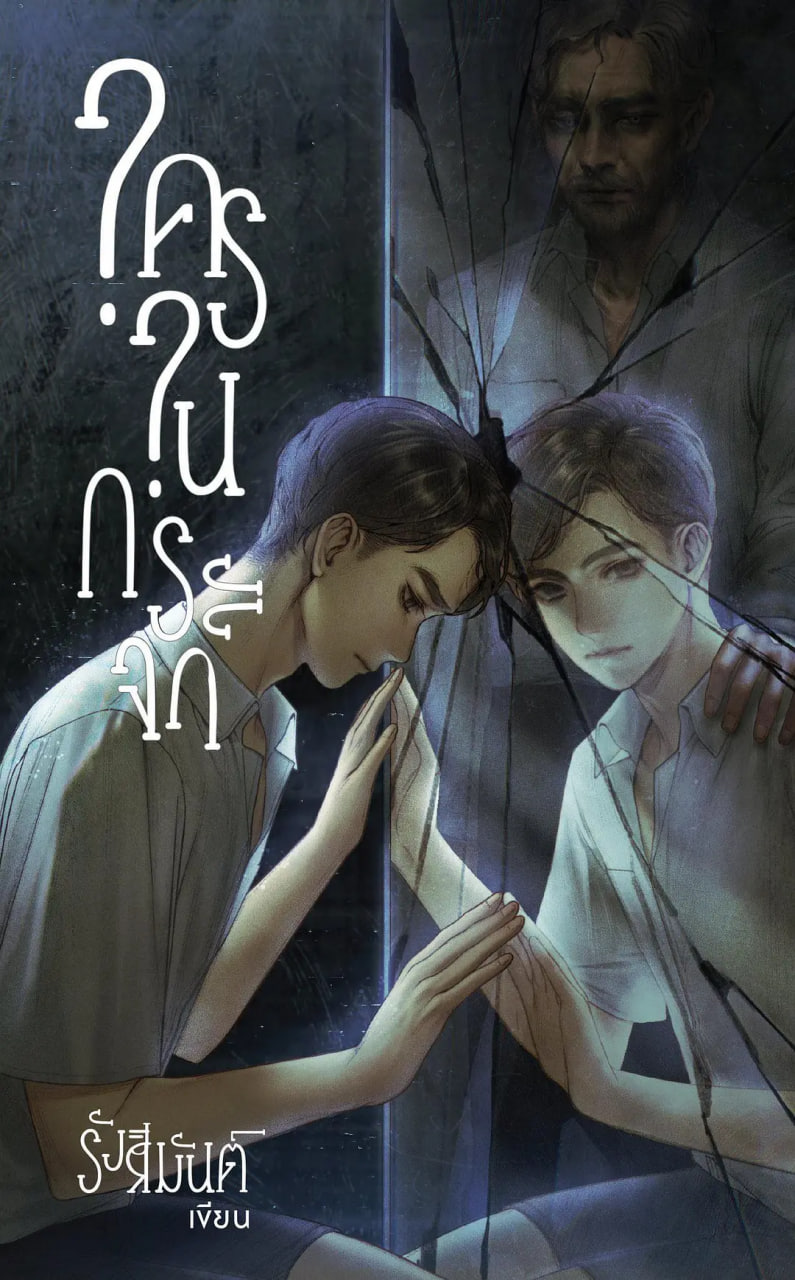 镜中秘影封面图