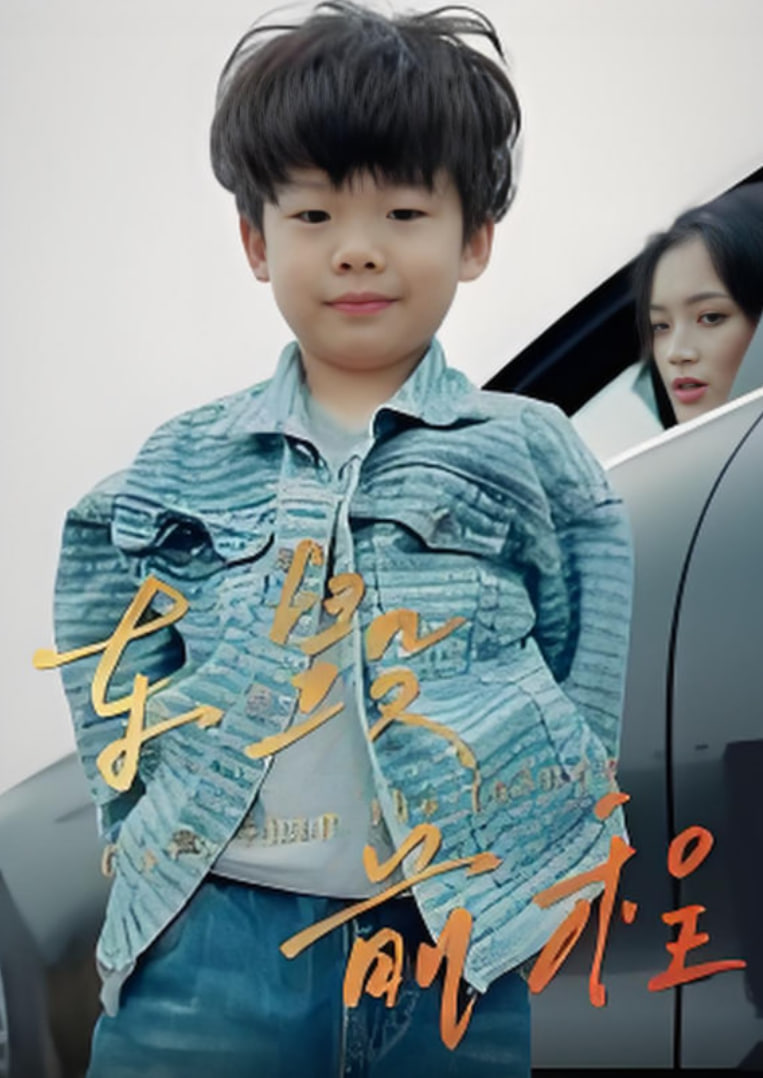 车毁前程封面图