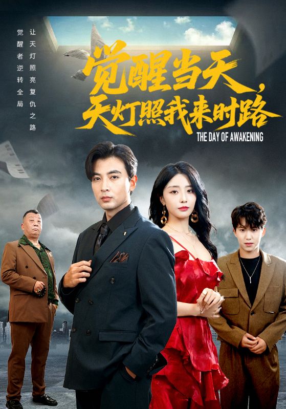 觉醒当天天灯照我来时路封面图