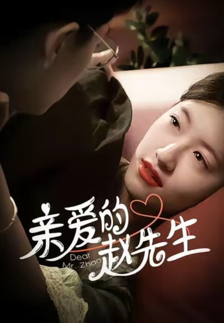 亲爱的赵先生封面图