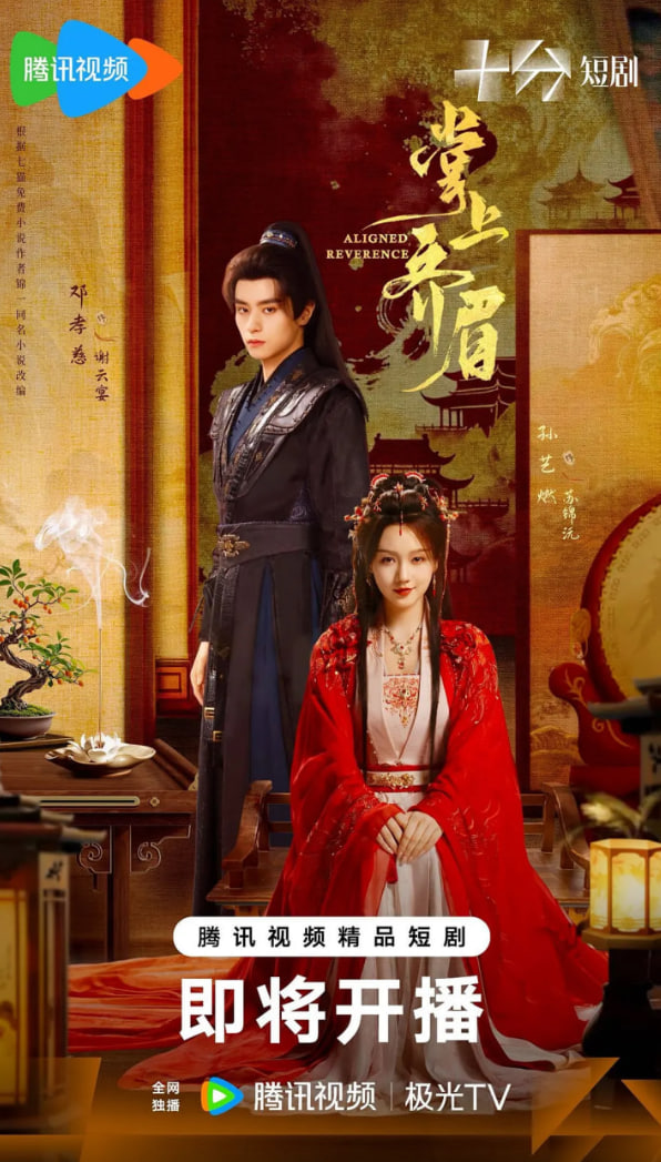 掌上齐眉封面图